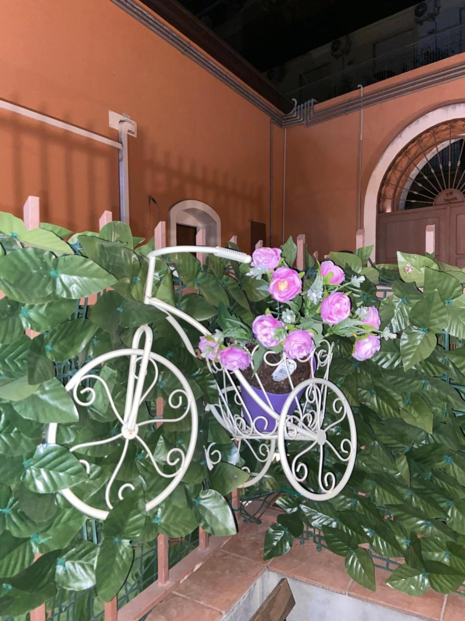 Home Pino Center~600 Mt Duomo Ct カターニア エクステリア 写真
